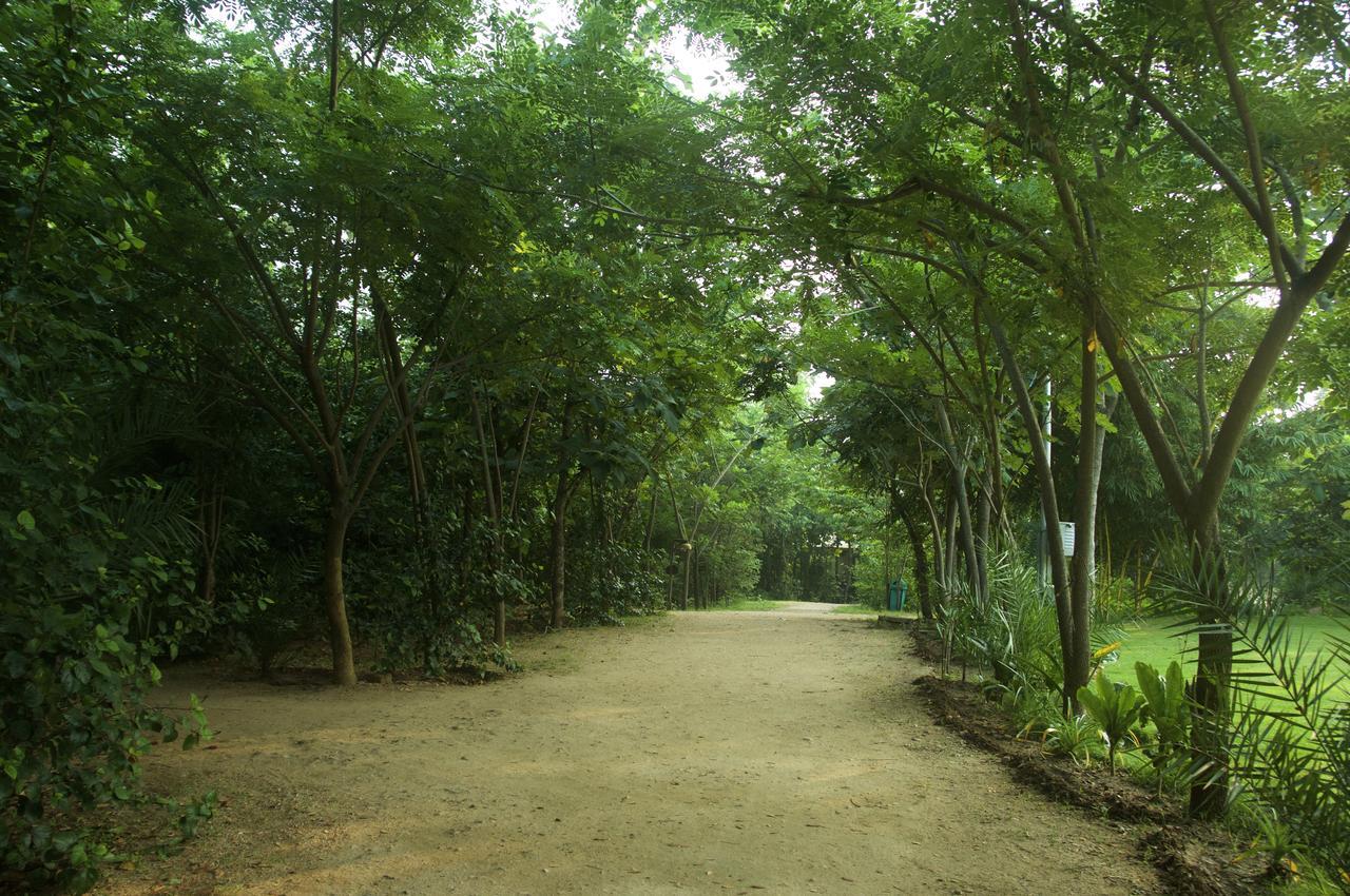 Khawāsa The Riverwood Forest Retreat Pench מראה חיצוני תמונה